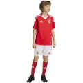 Adidas Benfica 24/25 Hjem Junior-shorts