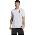 Adidas Fc Bayern Vrct Kortarmet T-skjorte
