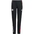 Adidas Ajax Amsterdam Tiro 25/26 Competition Presentasjon Junior Treningsbukse