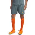 Under Armour Challenger Training Shorts
