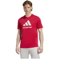 Adidas Ajax Amsterdam Seasonal Graphic Kortarmet T-skjorte
