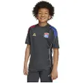 Adidas Olympique De Lyon Tiro 25/26 Competition Trening Junior T-skjorte Med Korte Ermer