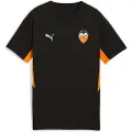 Puma Valencia Cf Evostripe Kortarmet T-skjorte