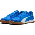 Puma Pressing Iv Innendørs Fotballsko