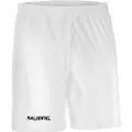 Salming Core Shorts