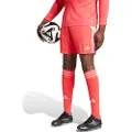 Adidas Tiro 24 Shorts