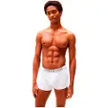 Tommy Hilfiger Um0um03520 Boxers 3 Enheter