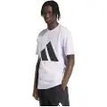 Adidas Essentials Big Logo Kortarmet T-skjorte