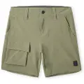 O'Neill Easton Cargo Shorts