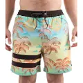 Hurley Phntm Eco Block Party Volley 17´´ Badebukse