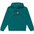 Quiksilver Big Logo Hettegenser