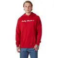 Helly Hansen Core Graphic Hettegenser