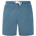 Protest Tedor Shorts