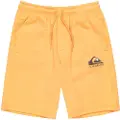 Quiksilver Easy Day Sports Shorts