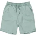 Quiksilver Taxer Shorts
