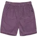 Quiksilver Taxer Cord Shorts