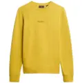 Superdry Micro Logo Collegegenser
