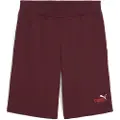 Puma Ess 2 Color No 1 Logo 10´´ Shorts