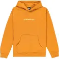 Quiksilver Salt Water Graphic Hettegenser
