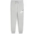 Puma Power Graphic Cl Svettbukser