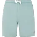 Protest Tedor Shorts