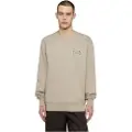 Dickies Aitkin Chest Collegegenser