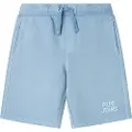 Pepe Jeans Charles Shorts