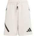 Adidas Z.n.e Shorts