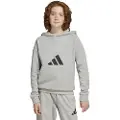Adidas Future Icons Logo Hettegenser