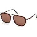 Tods To0370 Solbriller