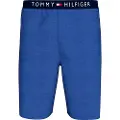 Tommy Hilfiger Um0um03578 Sports Shorts