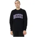 Dickies Aitkin Collegegenser