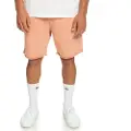 Quiksilver Trip Away Sports Shorts