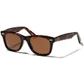 Ocean Sunglasses Walker Solbriller