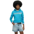 Superdry Rainbow Stripe Hettegenser