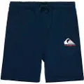 Quiksilver Easy Day Sports Shorts