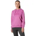 Helly Hansen Logo 2.0 Hettegenser