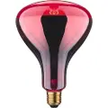 Paulmann Infrarød pære E27 150 W (Ø x L) 125 mm x 173 mm 230 V 1 stk