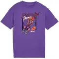 Puma Basketball Hoopstellations Player Playoff Series Kortarmet T-skjorte
