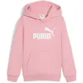 Puma ESS No. 1 Logo Fleece Hoodie Kids, Clothing, Pinkscape, 6-7Y