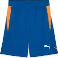 Puma INDIVIDUAL Padel Training Shorts Men, Clothing, Vivid Blue/Heat Fire, XXL