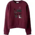 Name it Økologisk Bomull Sweatshirt