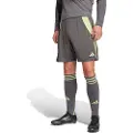 Adidas Tiro 24 Shorts