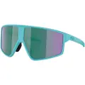 Bliz P002s Solbriller