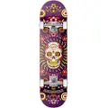 Hydroponic Mexican Co 8.125´´ Skateboard
