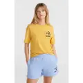 O'Neill Future Surf Society Shorts blå