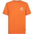 O'Neill O'Riginals Hybrid T-skjorte oransj