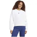 Adidas Essentials Small Logo Feelcozy Collegegenser