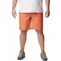 Columbia Washed Out Plus Size Shorts