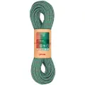 Fixe Riglos 8.4 Mm Tau